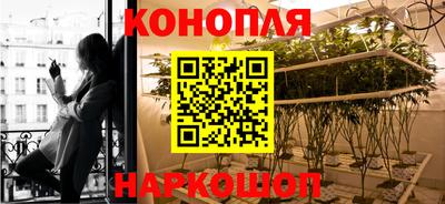 ALPHA PVP Шахты