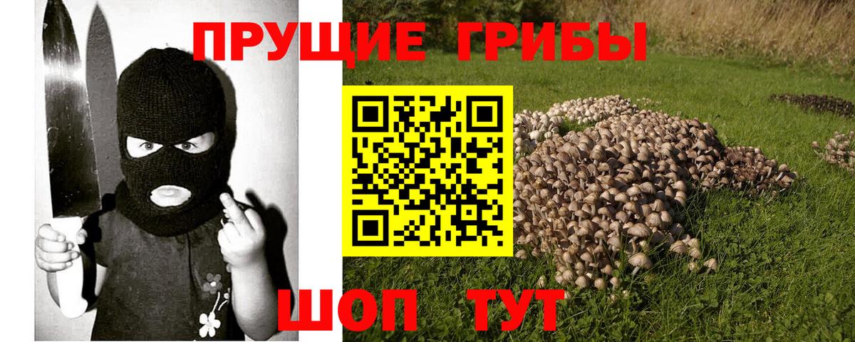 Лесозаводск  Галлюциногенные грибы мицелий  цены наркотик  Вход с VPN 